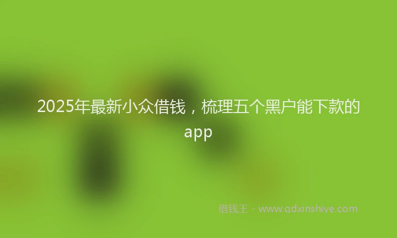 2025年最新小众借钱，梳理五个黑户能下款的app
