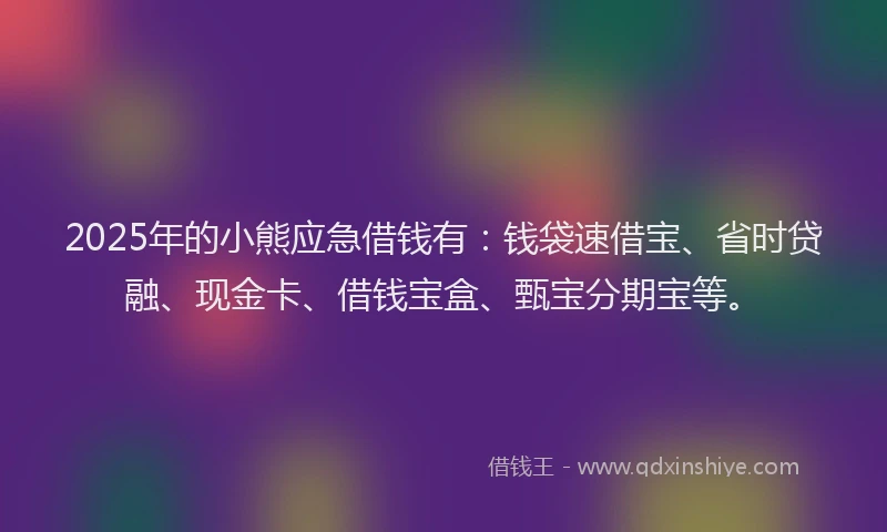 2025年的小熊应急借钱有：钱袋速借宝、省时贷融、现金卡、借钱宝盒、甄宝分期宝等。