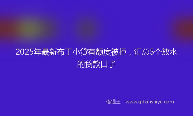 2025年最新布丁小贷有额度被拒，汇总5个放水的贷款口子
