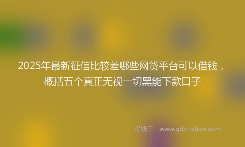2025年最新征信比较差哪些网贷平台可以借钱，概括五个真正无视一切黑能下款口子