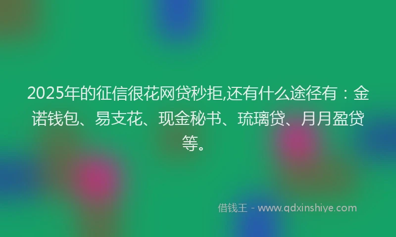 2025年的征信很花网贷秒拒,还有什么途径有：金诺钱包、易支花、现金秘书、琉璃贷、月月盈贷等。