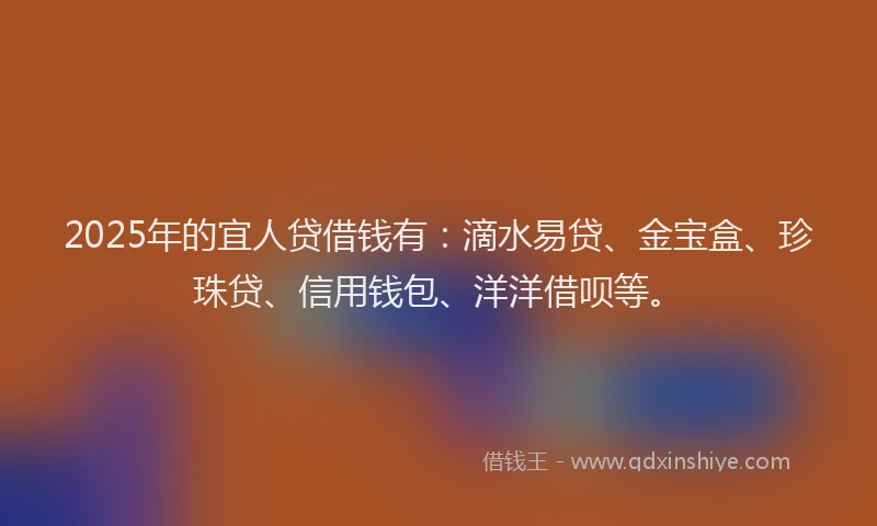 2025年的宜人贷借钱有：滴水易贷、金宝盒、珍珠贷、信用钱包、洋洋借呗等。