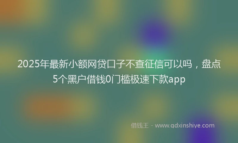 2025年最新小额网贷口子不查征信可以吗，盘点5个黑户借钱0门槛极速下款app