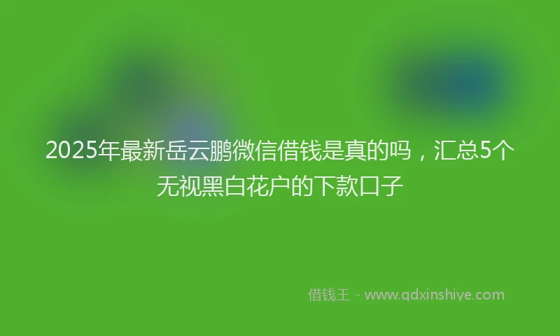 2025年最新岳云鹏微信借钱是真的吗，汇总5个无视黑白花户的下款口子