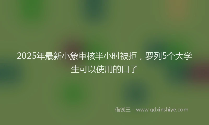 2025年最新小象审核半小时被拒，罗列5个大学生可以使用的口子