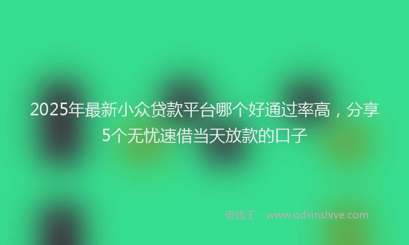 2025年最新小众贷款平台哪个好通过率高，分享5个无忧速借当天放款的口子