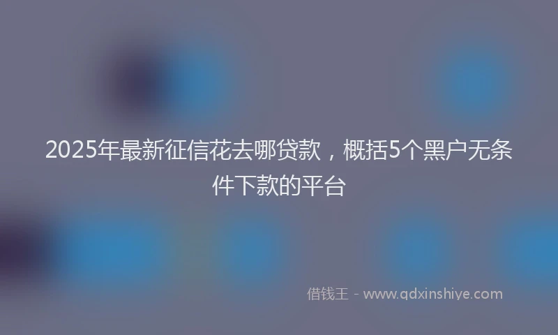 2025年最新征信花去哪贷款，概括5个黑户无条件下款的平台