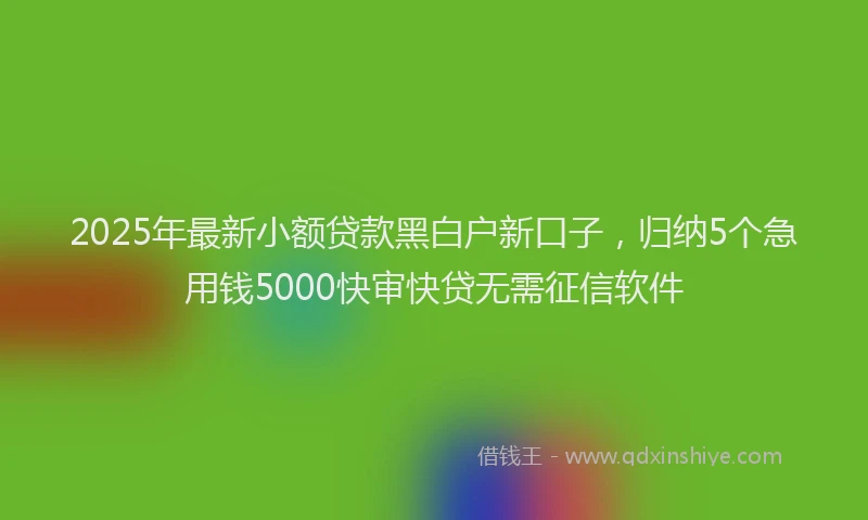 2025年最新小额贷款黑白户新口子，归纳5个急用钱5000快审快贷无需征信软件