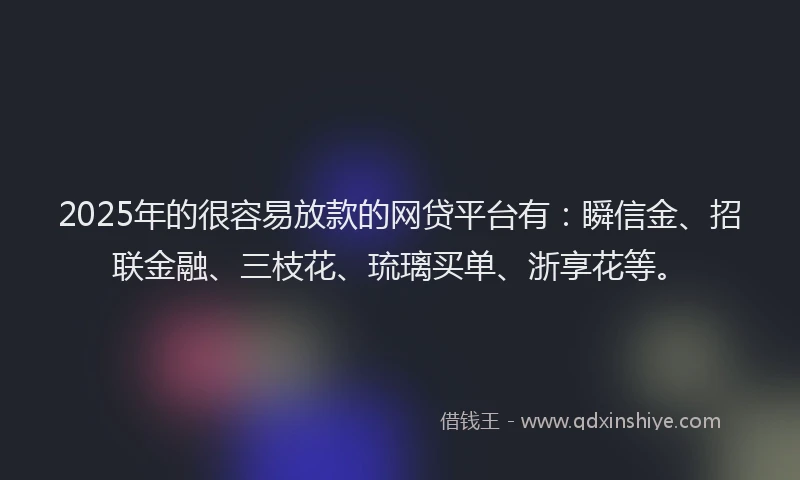 2025年的很容易放款的网贷平台有：瞬信金、招联金融、三枝花、琉璃买单、浙享花等。