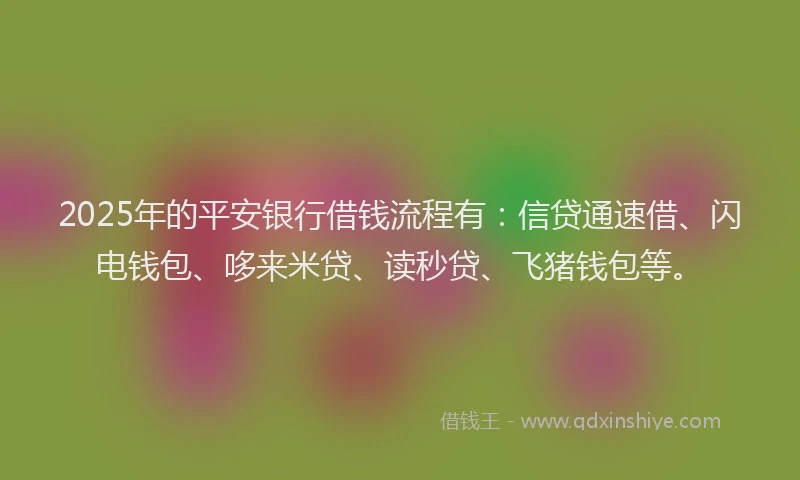 2025年的平安银行借钱流程有：信贷通速借、闪电钱包、哆来米贷、读秒贷、飞猪钱包等。