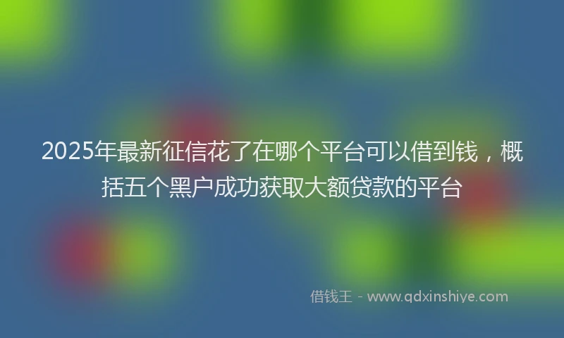 2025年最新征信花了在哪个平台可以借到钱，概括五个黑户成功获取大额贷款的平台