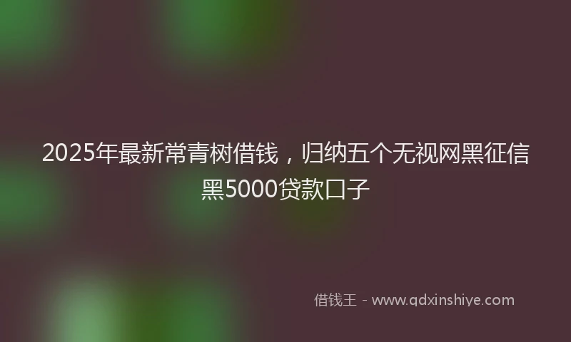 2025年最新常青树借钱，归纳五个无视网黑征信黑5000贷款口子