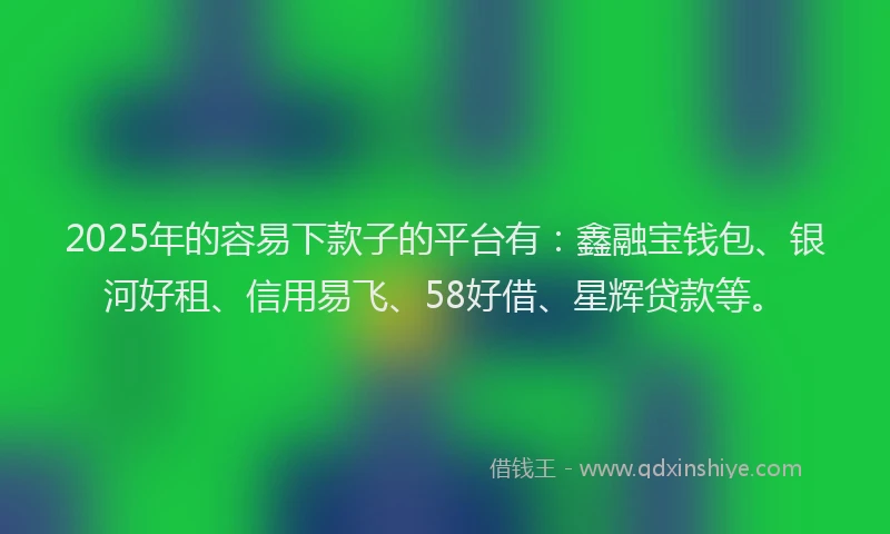 2025年的容易下款子的平台有：鑫融宝钱包、银河好租、信用易飞、58好借、星辉贷款等。
