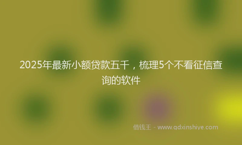 2025年最新小额贷款五千，梳理5个不看征信查询的软件