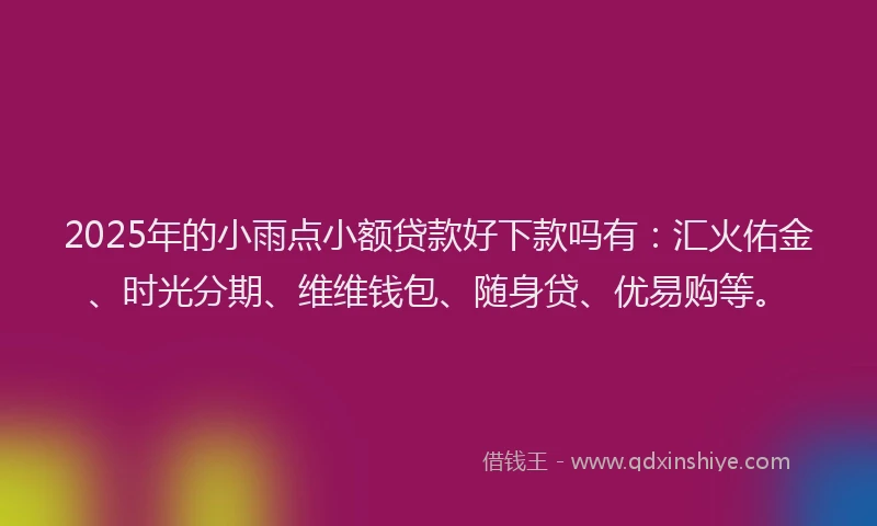2025年的小雨点小额贷款好下款吗有：汇火佑金、时光分期、维维钱包、随身贷、优易购等。