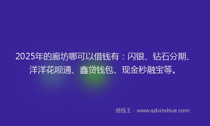 2025年的廊坊哪可以借钱有：闪银、钻石分期、洋洋花呗通、鑫贷钱包、现金秒融宝等。