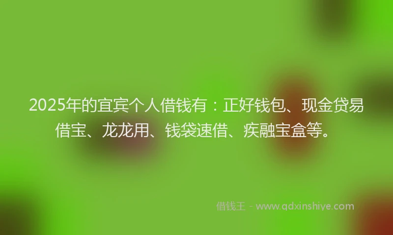 2025年的宜宾个人借钱有：正好钱包、现金贷易借宝、龙龙用、钱袋速借、疾融宝盒等。