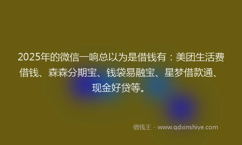 2025年的微信一响总以为是借钱有：美团生活费借钱、森森分期宝、钱袋易融宝、星梦借款通、现金好贷等。