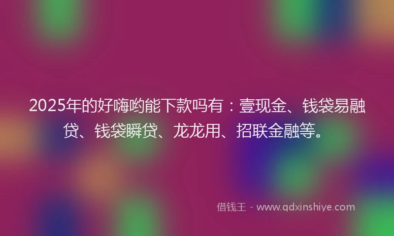 2025年的好嗨哟能下款吗有：壹现金、钱袋易融贷、钱袋瞬贷、龙龙用、招联金融等。