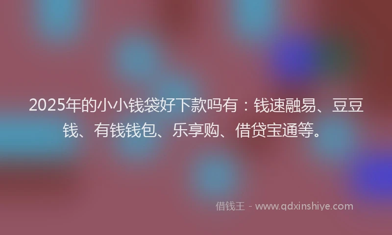 2025年的小小钱袋好下款吗有：钱速融易、豆豆钱、有钱钱包、乐享购、借贷宝通等。