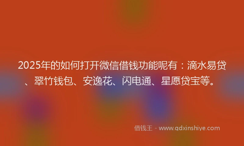 2025年的如何打开微信借钱功能呢有：滴水易贷、翠竹钱包、安逸花、闪电通、星愿贷宝等。