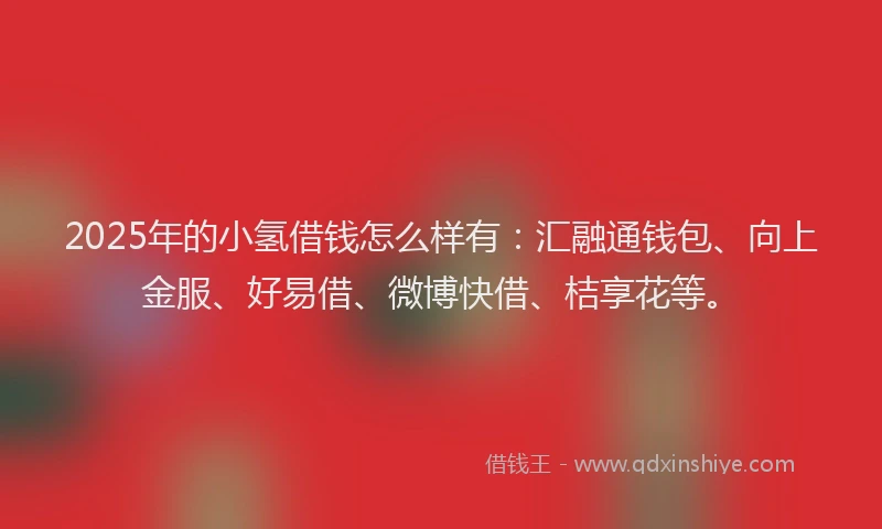 2025年的小氢借钱怎么样有：汇融通钱包、向上金服、好易借、微博快借、桔享花等。
