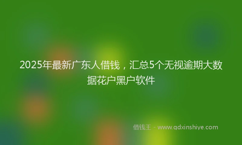 2025年最新广东人借钱，汇总5个无视逾期大数据花户黑户软件