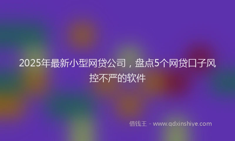 2025年最新小型网贷公司，盘点5个网贷口子风控不严的软件