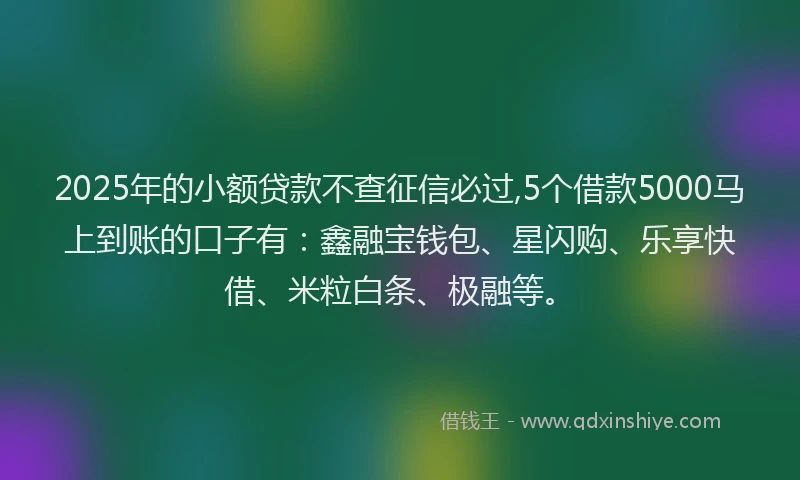 2025年的小额贷款不查征信必过,5个借款5000马上到账的口子有：鑫融宝钱包、星闪购、乐享快借、米粒白条、极融等。
