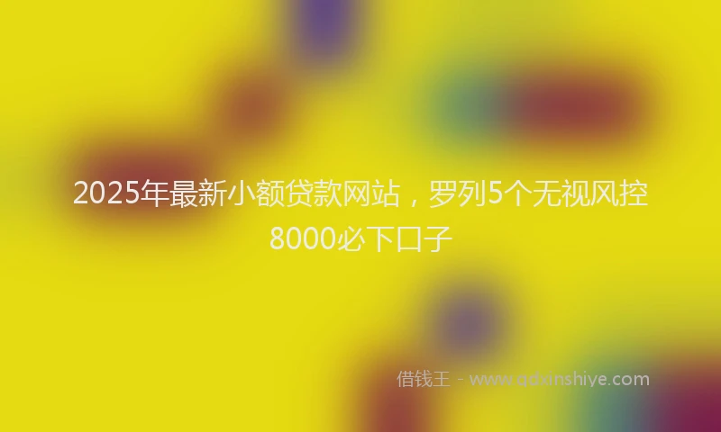 2025年最新小额贷款网站，罗列5个无视风控8000必下口子