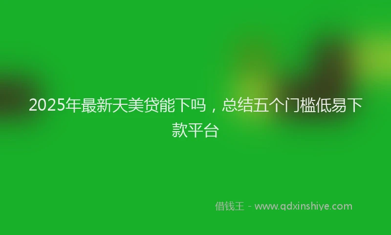2025年最新天美贷能下吗，总结五个门槛低易下款平台