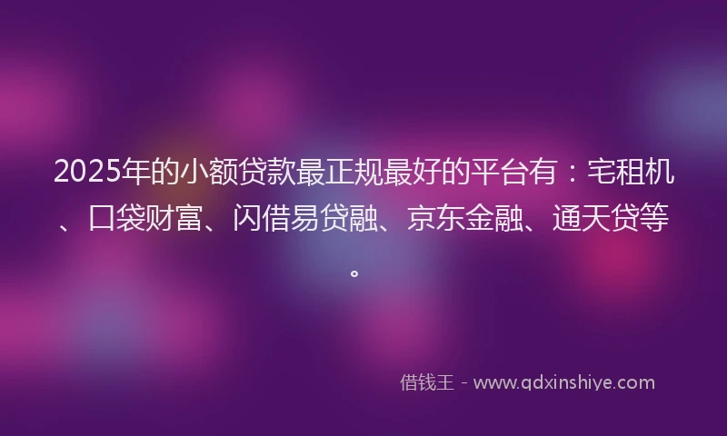 2025年的小额贷款最正规最好的平台有：宅租机、口袋财富、闪借易贷融、京东金融、通天贷等。