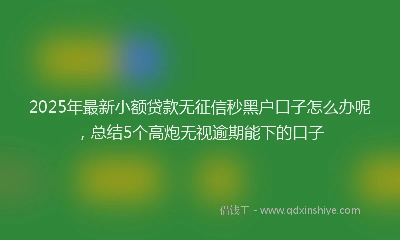 2025年最新小额贷款无征信秒黑户口子怎么办呢，总结5个高炮无视逾期能下的口子