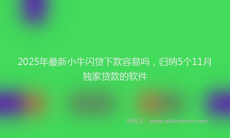 2025年最新小牛闪贷下款容易吗，归纳5个11月独家贷款的软件