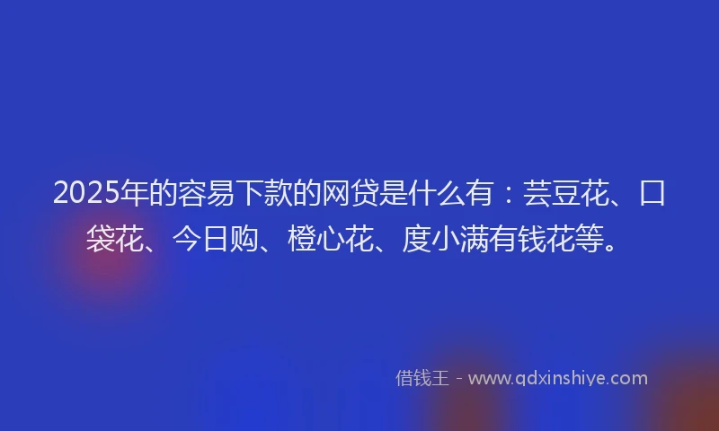 2025年的容易下款的网贷是什么有：芸豆花、口袋花、今日购、橙心花、度小满有钱花等。