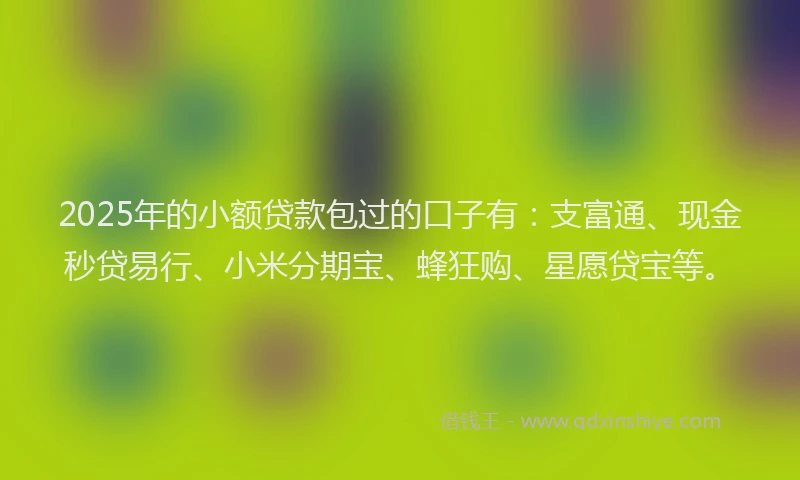 2025年的小额贷款包过的口子有：支富通、现金秒贷易行、小米分期宝、蜂狂购、星愿贷宝等。