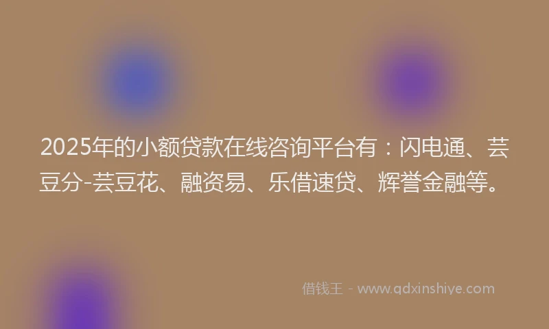 2025年的小额贷款在线咨询平台有：闪电通、芸豆分-芸豆花、融资易、乐借速贷、辉誉金融等。