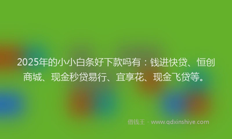 2025年的小小白条好下款吗有：钱进快贷、恒创商城、现金秒贷易行、宜享花、现金飞贷等。