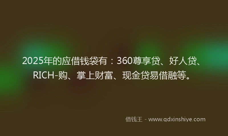 2025年的应借钱袋有：360尊享贷、好人贷、RICH-购、掌上财富、现金贷易借融等。