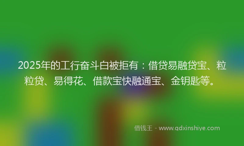 2025年的工行奋斗白被拒有：借贷易融贷宝、粒粒贷、易得花、借款宝快融通宝、金钥匙等。
