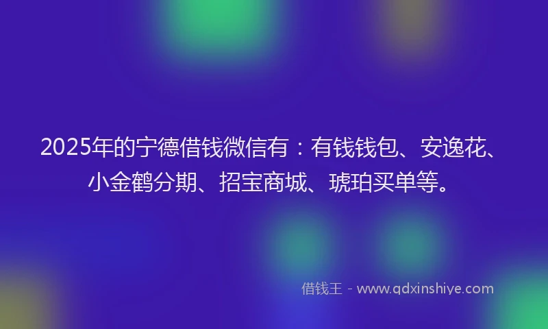 2025年的宁德借钱微信有：有钱钱包、安逸花、小金鹤分期、招宝商城、琥珀买单等。