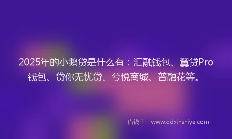 2025年的小鹅贷是什么有：汇融钱包、翼贷Pro钱包、贷你无忧贷、兮悦商城、普融花等。
