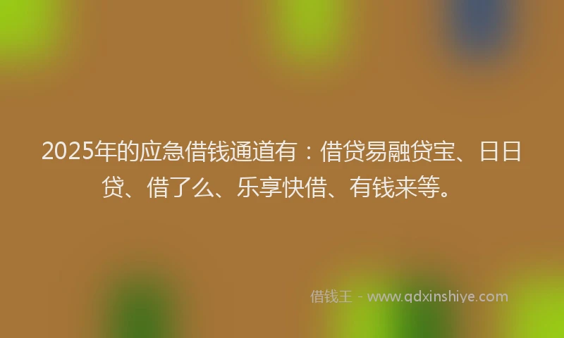 2025年的应急借钱通道有：借贷易融贷宝、日日贷、借了么、乐享快借、有钱来等。