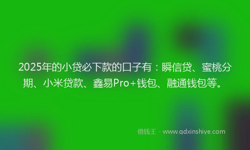 2025年的小贷必下款的口子有：瞬信贷、蜜桃分期、小米贷款、鑫易Pro+钱包、融通钱包等。