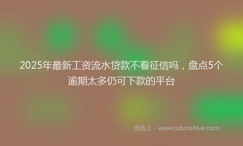 2025年最新工资流水贷款不看征信吗，盘点5个逾期太多仍可下款的平台