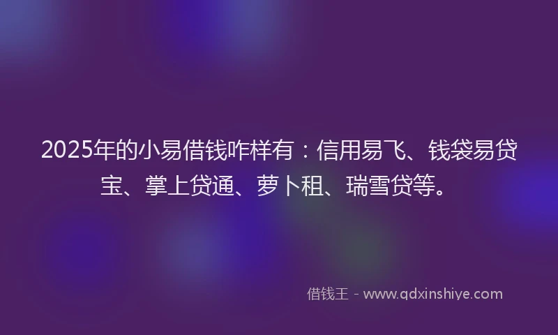 2025年的小易借钱咋样有：信用易飞、钱袋易贷宝、掌上贷通、萝卜租、瑞雪贷等。