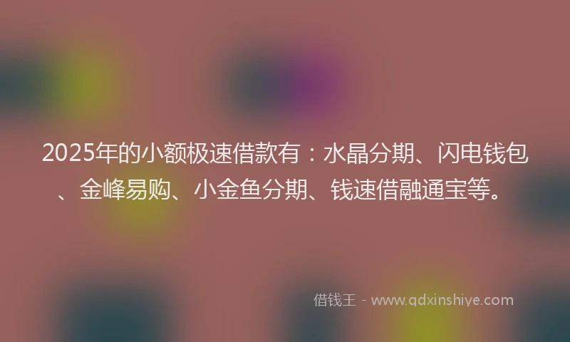 2025年的小额极速借款有：水晶分期、闪电钱包、金峰易购、小金鱼分期、钱速借融通宝等。
