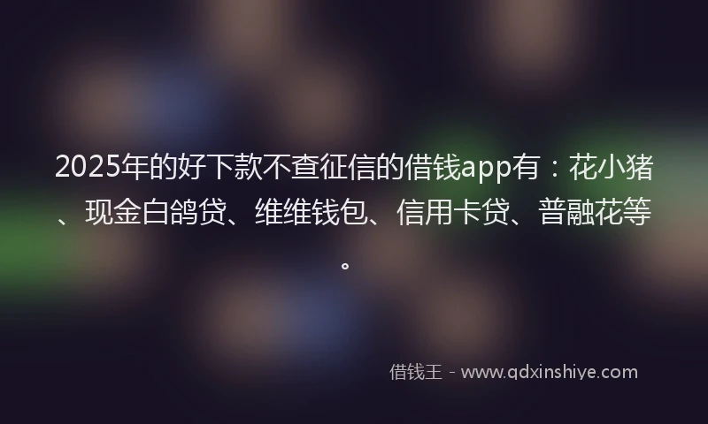 2025年的好下款不查征信的借钱app有：花小猪、现金白鸽贷、维维钱包、信用卡贷、普融花等。