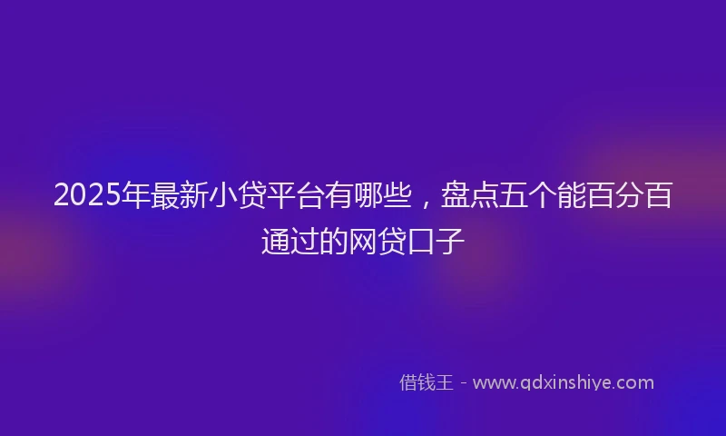 2025年最新小贷平台有哪些，盘点五个能百分百通过的网贷口子