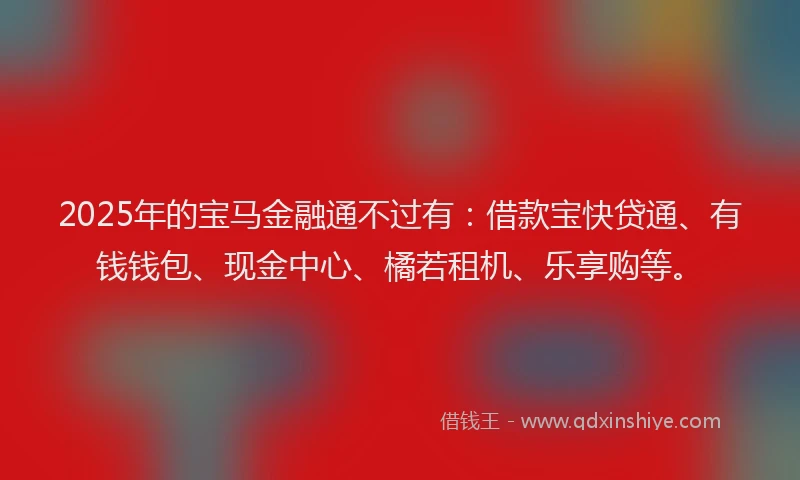 2025年的宝马金融通不过有：借款宝快贷通、有钱钱包、现金中心、橘若租机、乐享购等。